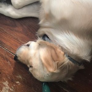 Meet your Posher, Sarah grace